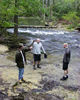 Ve Great Smoky Mountains