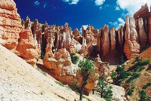 Foto: Radek Adamec - Bryce Canyon