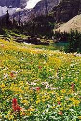 Alpinky na brezch Iceberg Lake