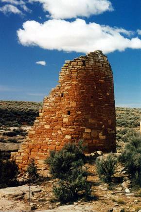 Image4