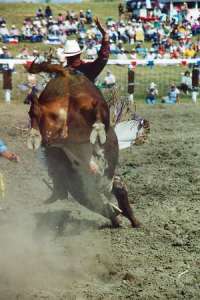 Rodeo