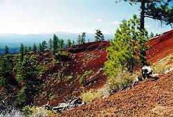 Na okraji vyhaslé sopky Lava Butte